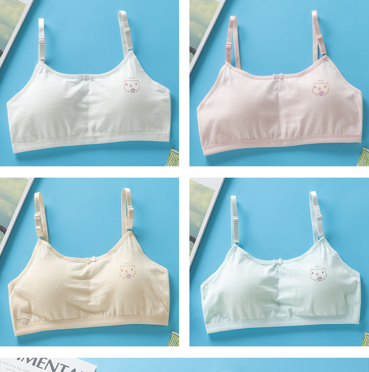 Title 3, Student Big Girl Developmental Little Vest Bra