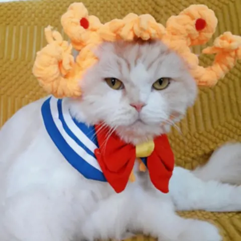 Cat Headgear Double Dough-twist Style Plaits Handmade