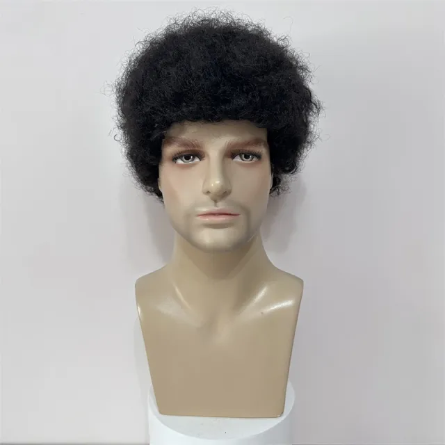 Human Wigs Short Curly Hair Afro Men And Women Real Hair - Shop at LoveMi