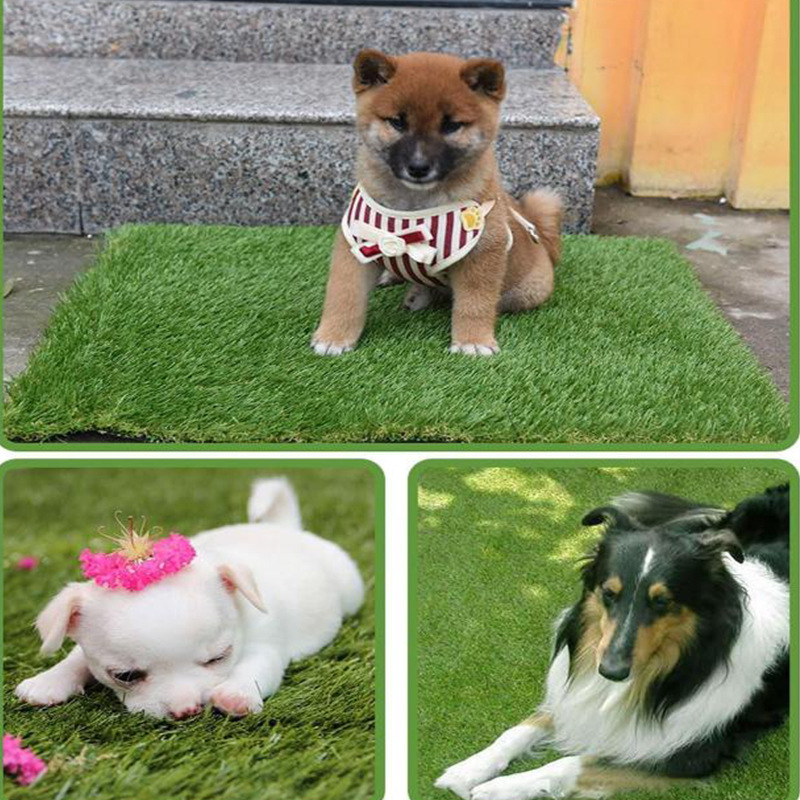 Turf Training Pad Washable