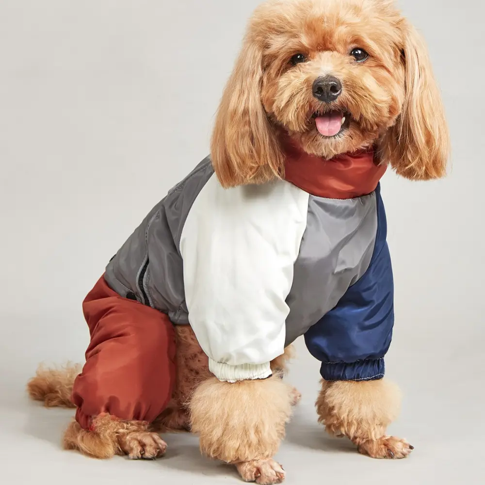 Pet Winter Color Matching Cotton-padded Clothes Dog Medium Large