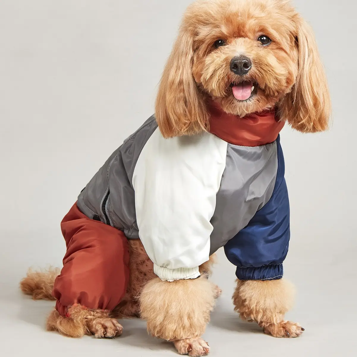 Pet Winter Color Matching Cotton-padded Clothes Dog