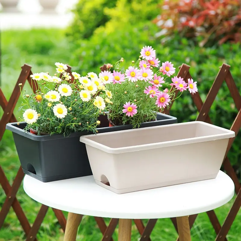 Plastic Planting Trough Family Flower Extra Large