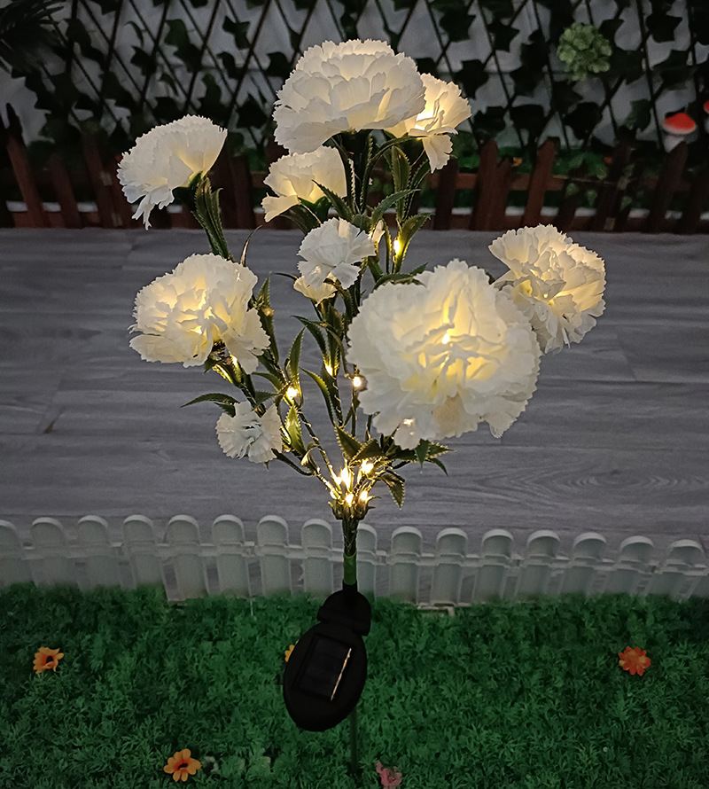 White Carnation