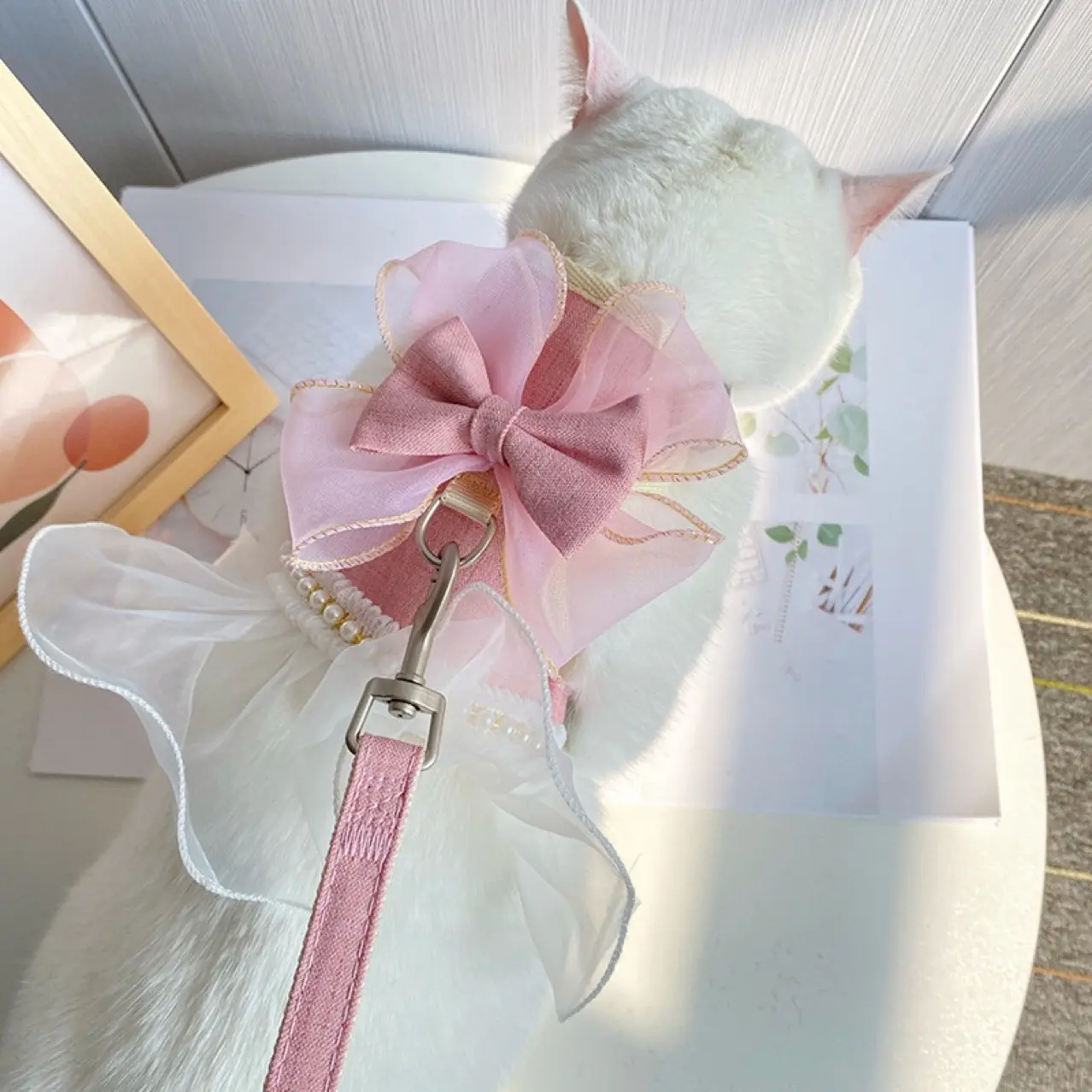 Dog Cat Vest-style Hand Holding Rope Anti