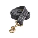 Dog Leash