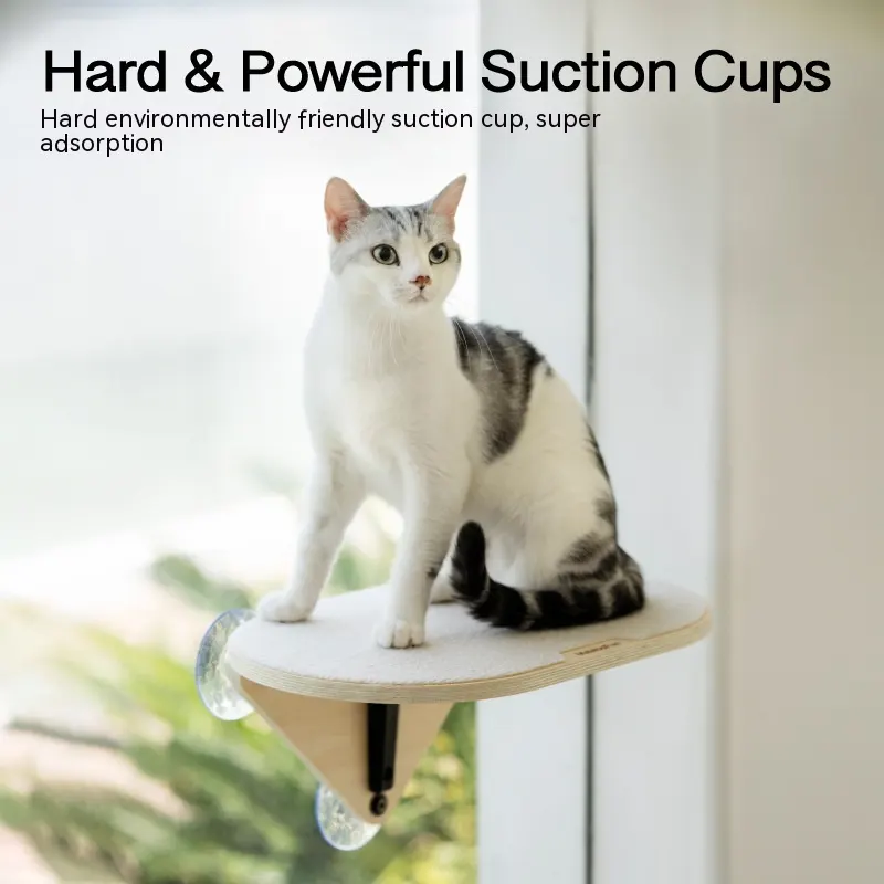 Cat Scratch Trees Non-covering Glass Wall Chamfer