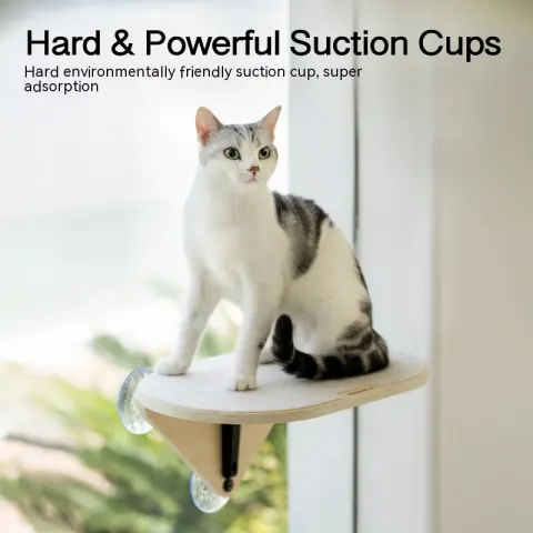 Cat Scratch Trees Non-covering Glass Wall Chamfer
