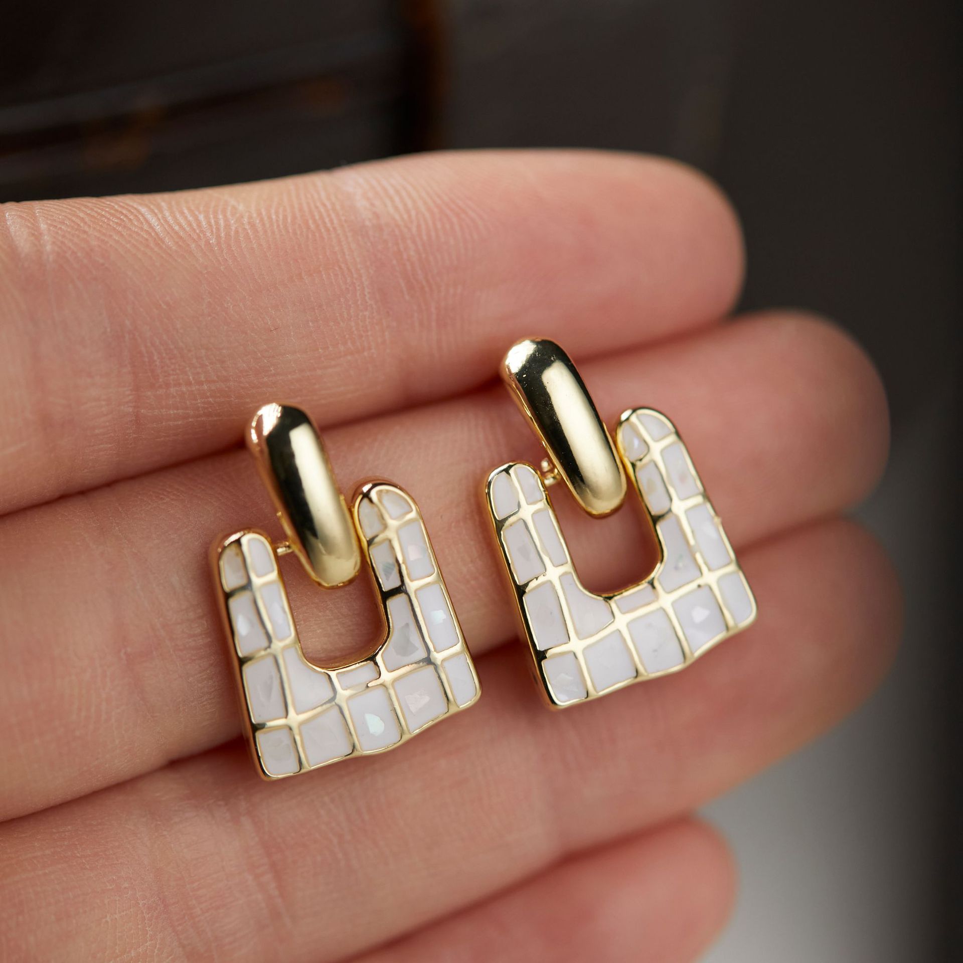 Shell Oil Painting Exaggerated Niche Earrings