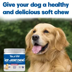 Pet Hip Joint Supplement Dog Glucosamine Chondroitin - View 1