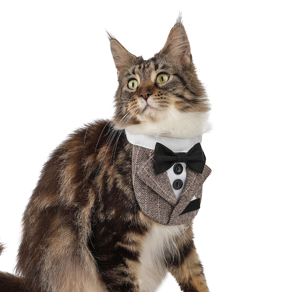 Triangular Wedding Napkin Pet Suit