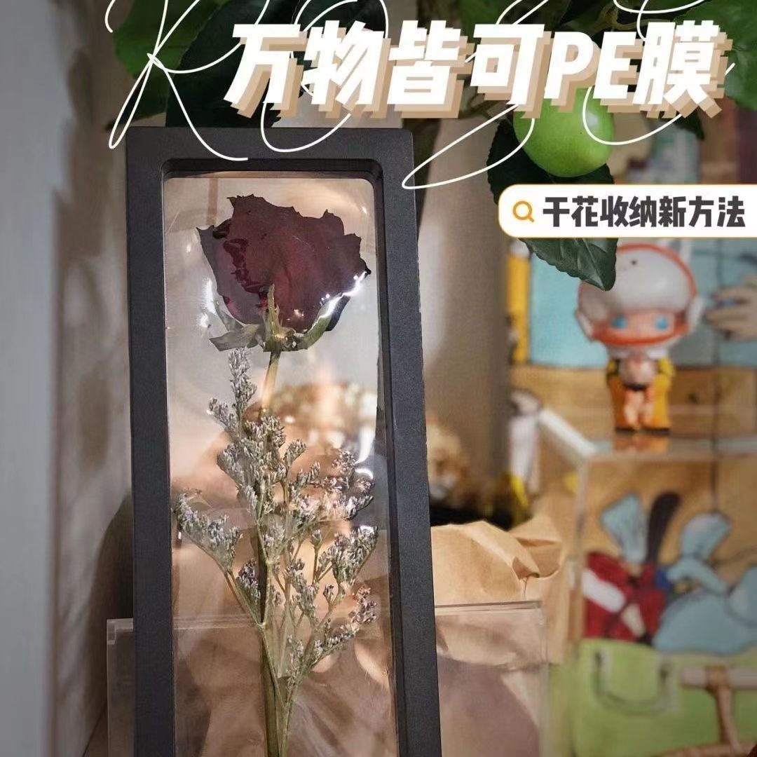 Title 5, Rose Dried Flower Storage Photo Frame Display S...