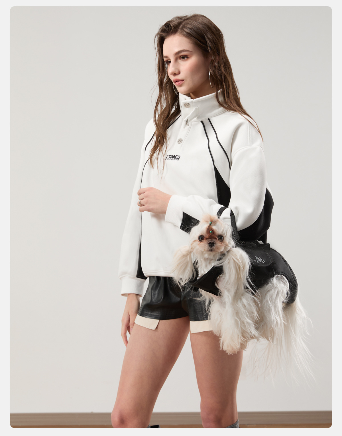 Pet Double-shoulder Crossbody Dog Harness detail photo 4