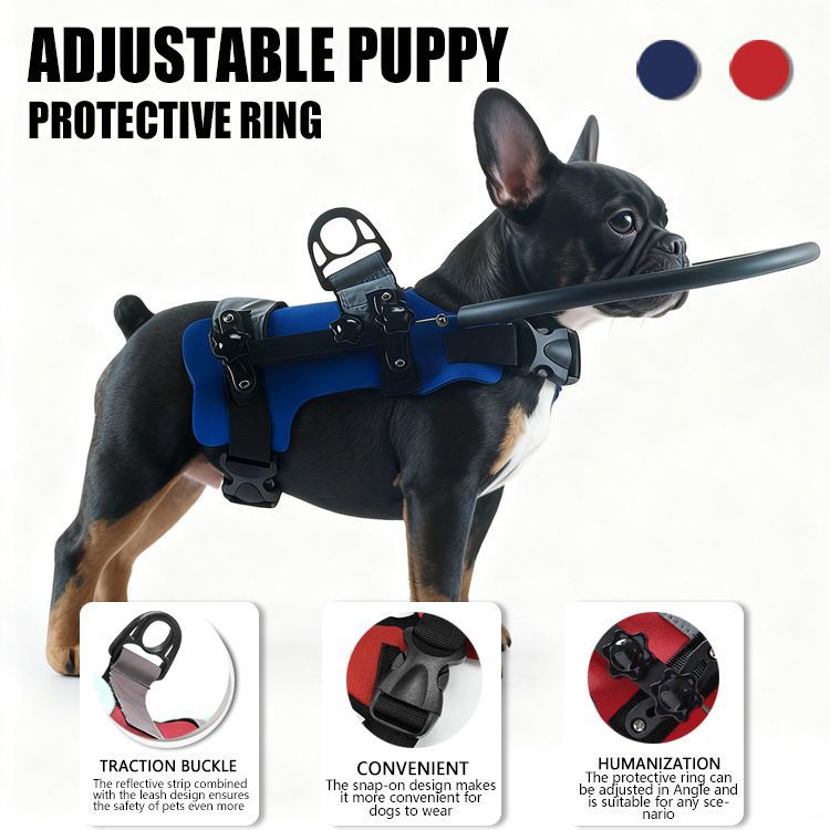 Amazon Bestseller Anti-Collision Collar With Leash For Blind Pets