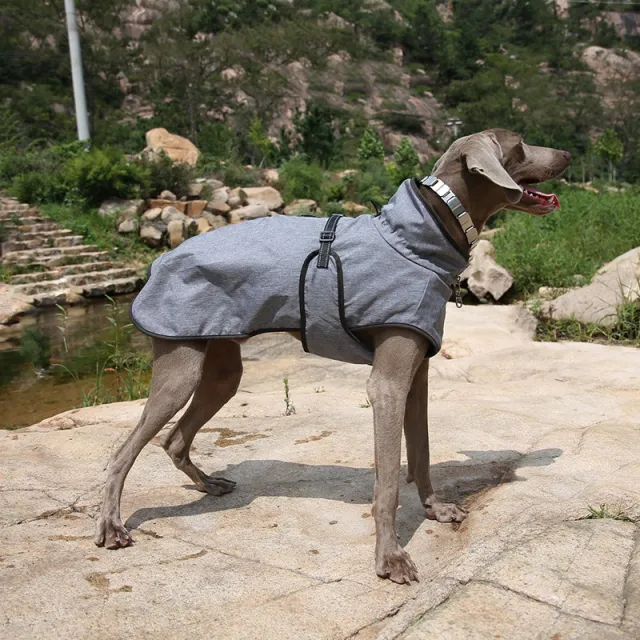 Pet Shell Jacket Dog Winter Outdoors Ski Suit Gray - Shop at LoveMi