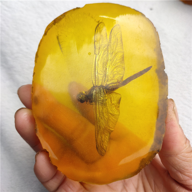 Antique crafts resin amber insect specimen decoration