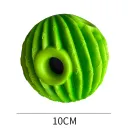 Cactus 10Cm