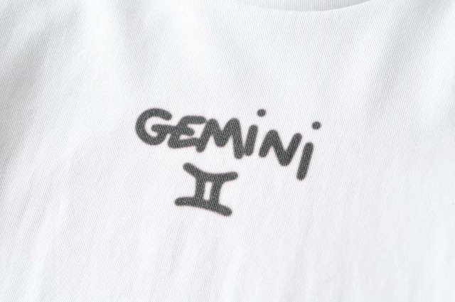 GEMiNi