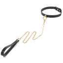Gold Accessories New Collar