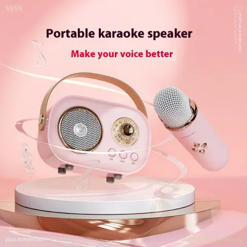Portable Bluetooth Audio with Wireless Microphone