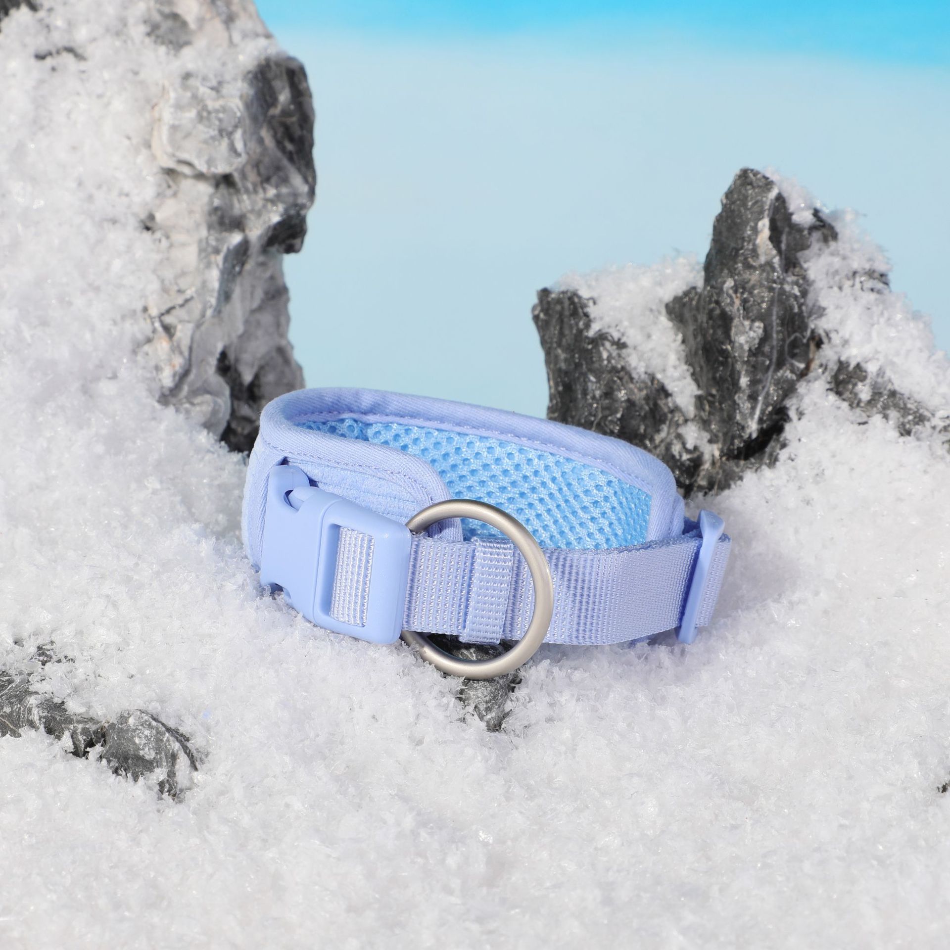 Baby Blue Pet Collar