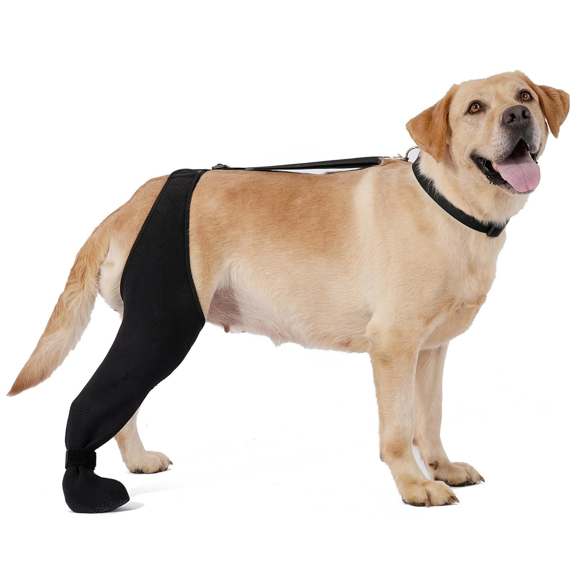 New Pet Knee Brace For Post-leg Injury Support In Cases Of Ligament Strains Right Leg S