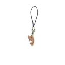 Brown Cat 1