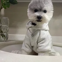 Fashion New Retro Hoodie Puppy Clothes - Light Gray - View 1
