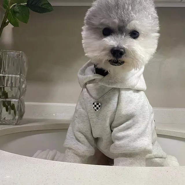 Fashion New Retro Hoodie Puppy Clothes Light Gray - Shop at LoveMi
