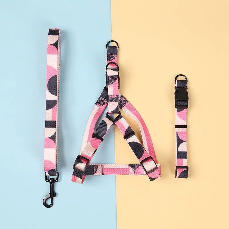 Hand Holding Rope Outing Dog Leash Collar