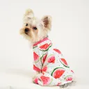 Watermelon Red