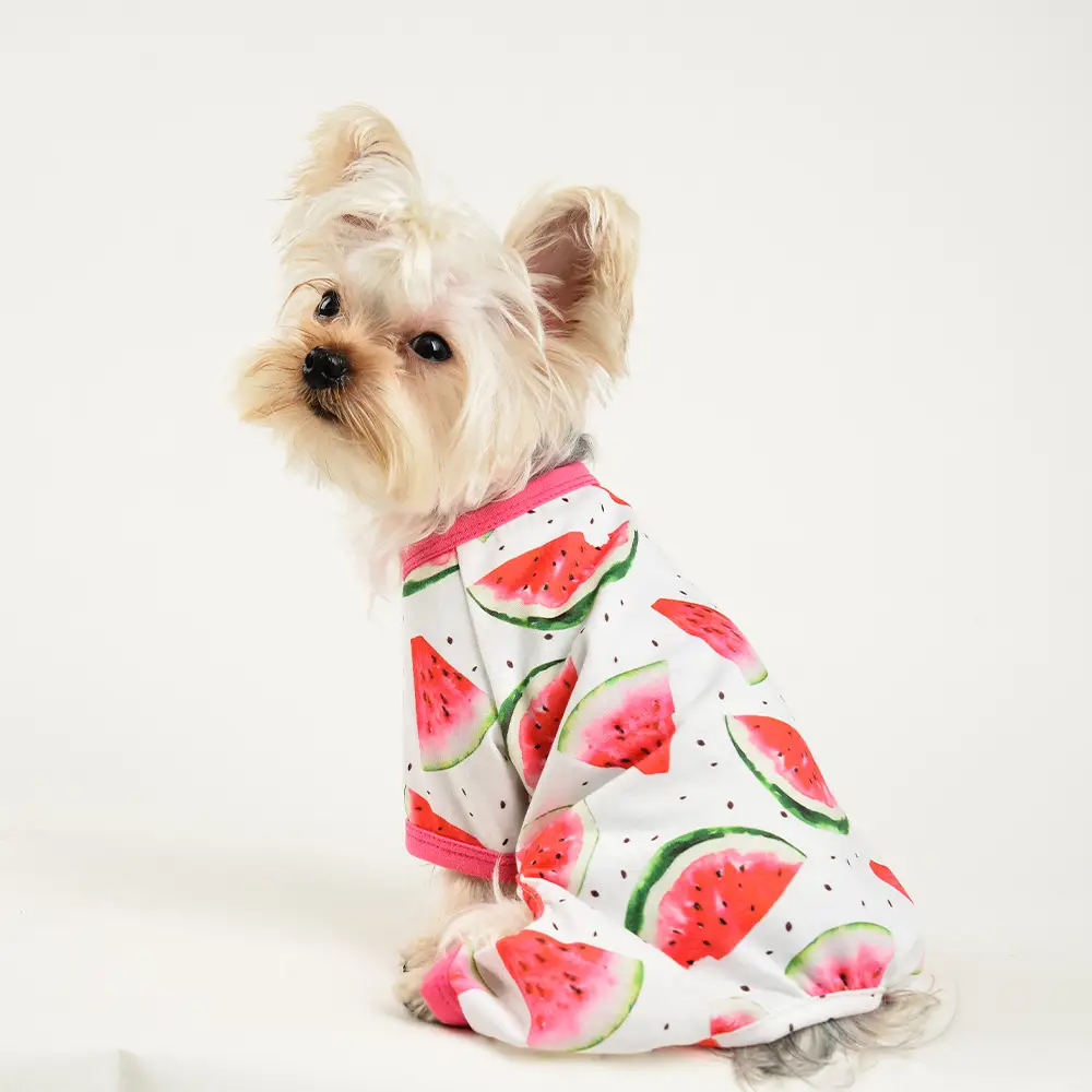 Cute Dog Pet Clothing Wholesale Watermelon Printing Four-leg Jumpsuit