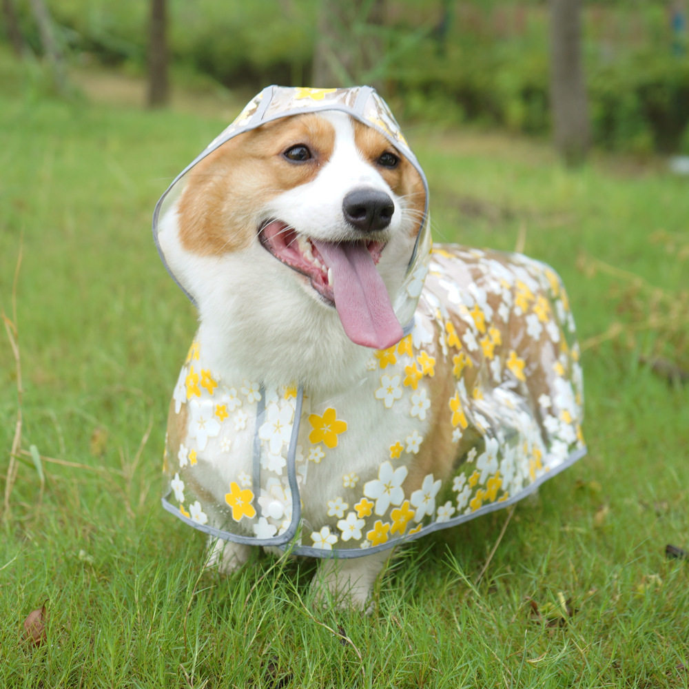 Pet It Tpu Floral Dog Cloak Raincoat Corgi Medium-sized Dog Universal Pet Clothes Dubin Samo Golden Retriever