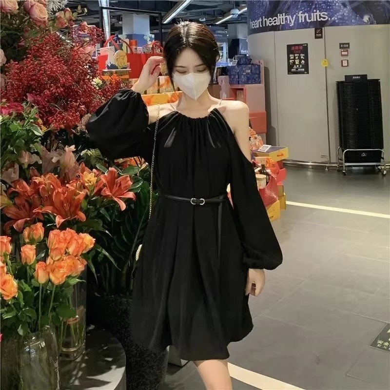 Stylish Relaxed-fit Long-sleeve Dress For Women