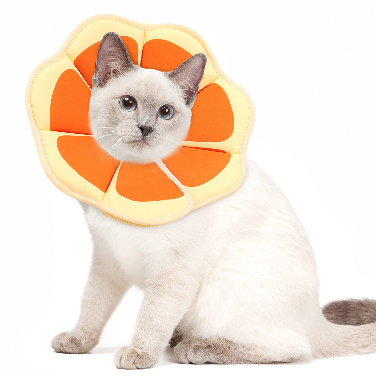 Cartoon-printed Elizabethan Collar Pet Protector