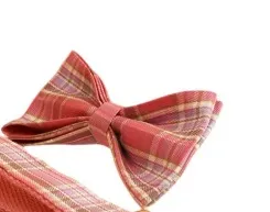 Plaid Pet Collar Traction Rope Bow - Shop at LoveMi