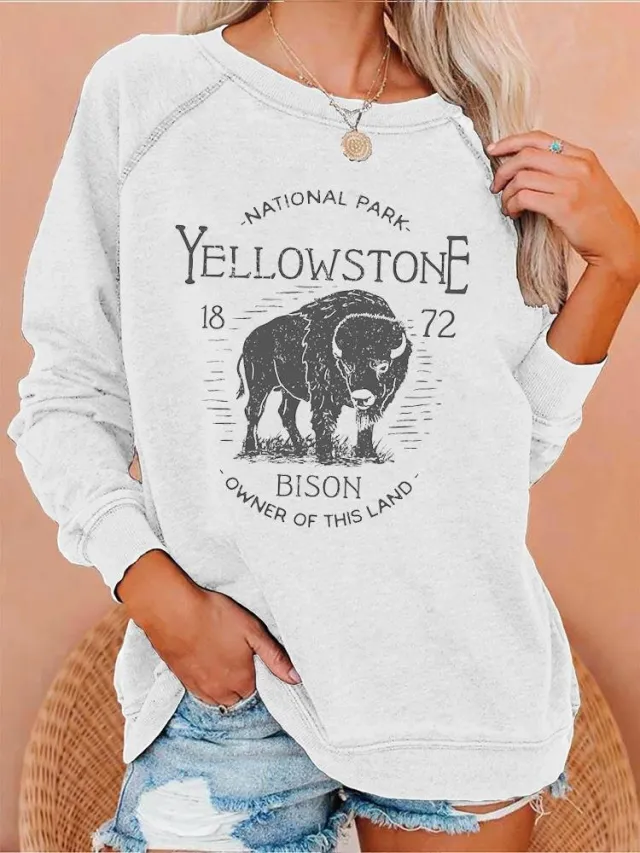 New European And American Personalized Elements Women's Sweater Style24 Xxxl - Shop at LoveMi