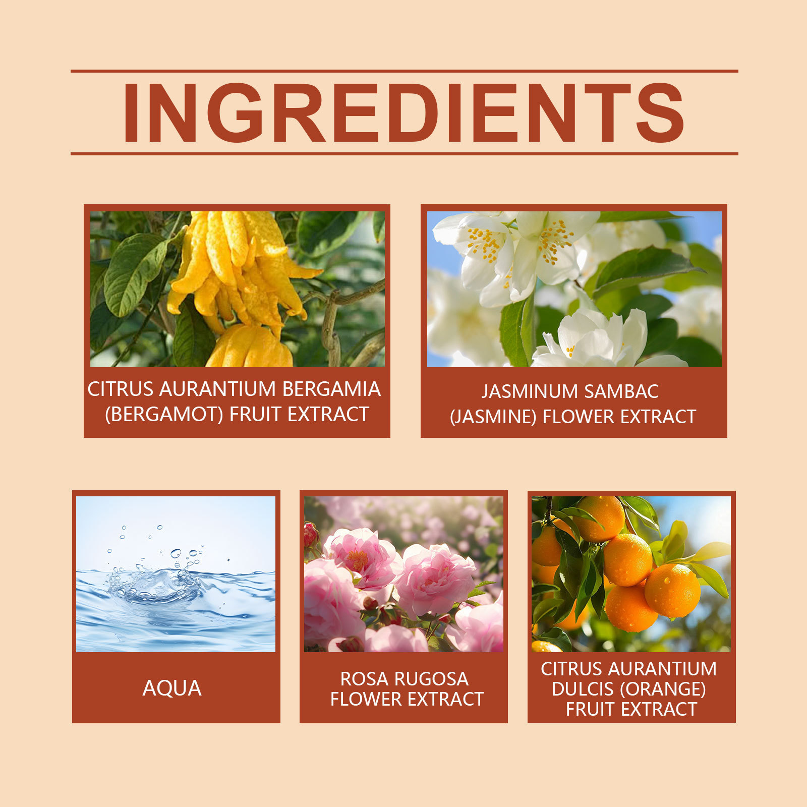 Parfum portable agrumes et fleurs — Eau de parfum 15 ml 5