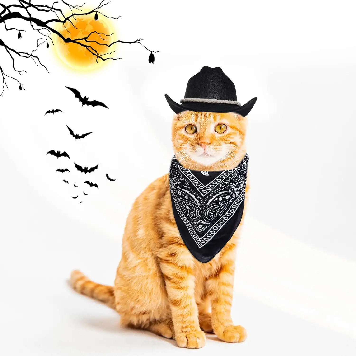 Black Pet And Bib Set Cotton Rope