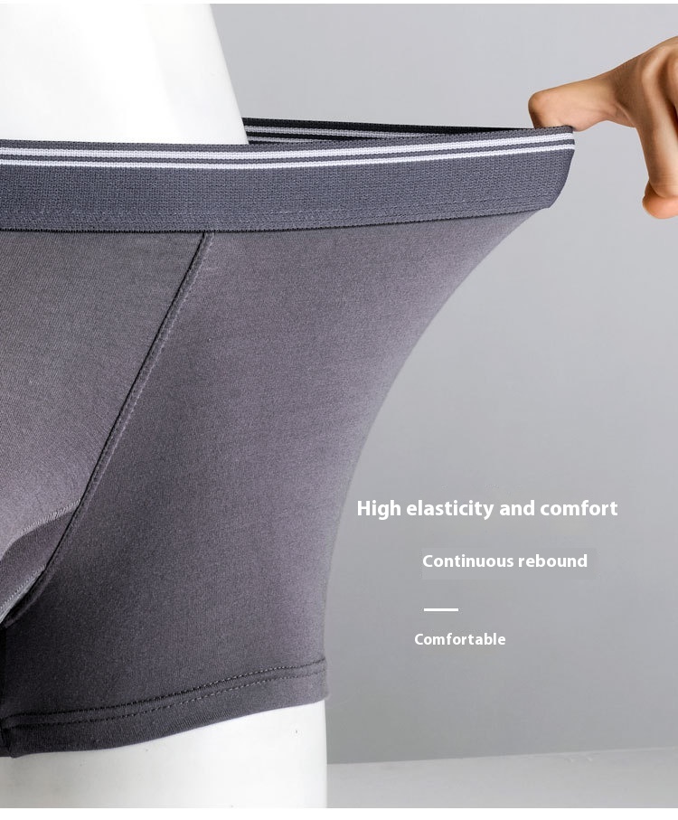Men's Mid-waist Breathable Modal Underwear