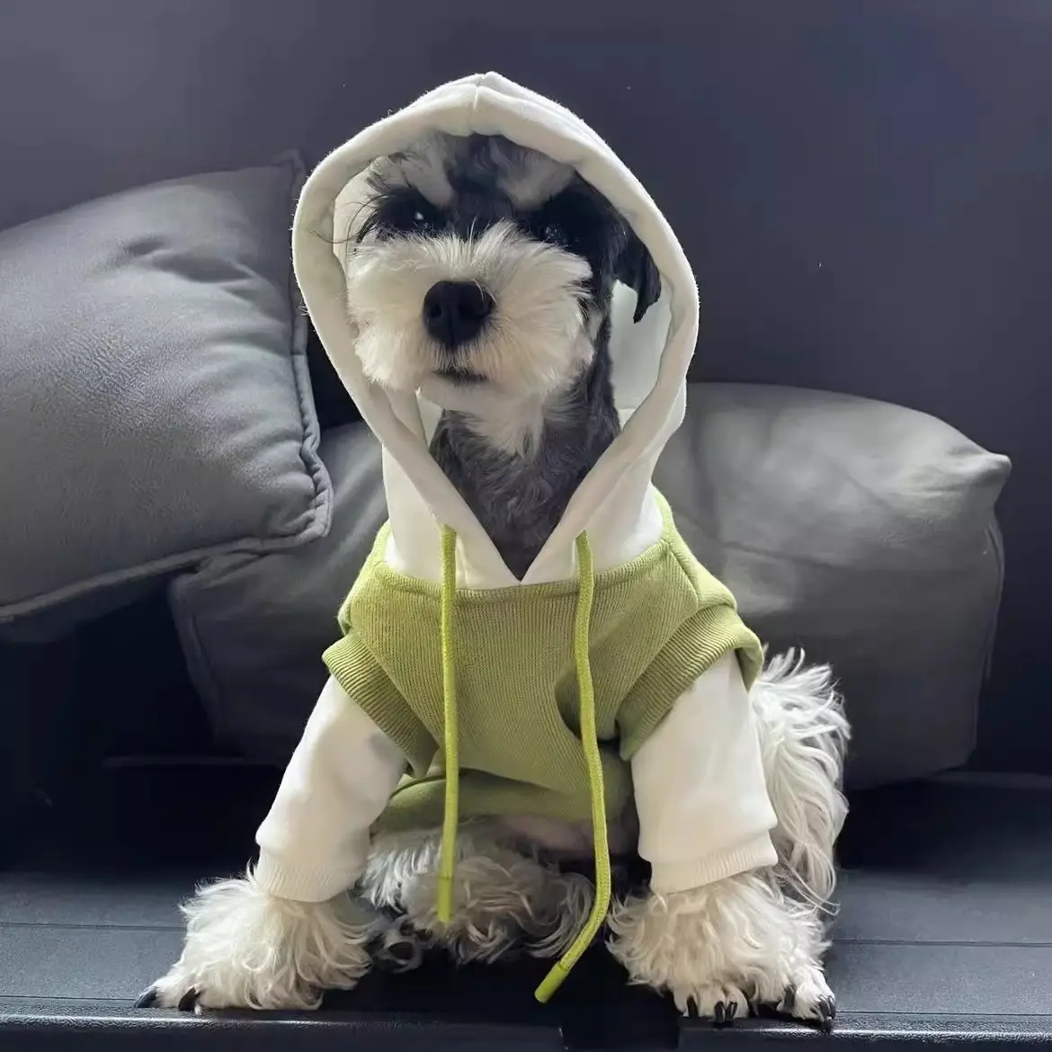 Fleece-lined Insulated Hooded Sweatshirt