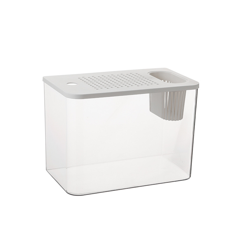 Ecological Betta Tank Living Room Mini Size Home