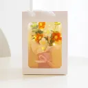 Gift Bag Orange