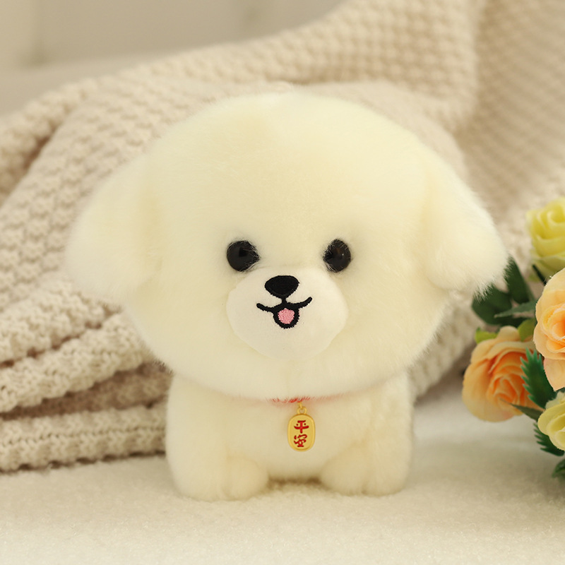 White Bichon