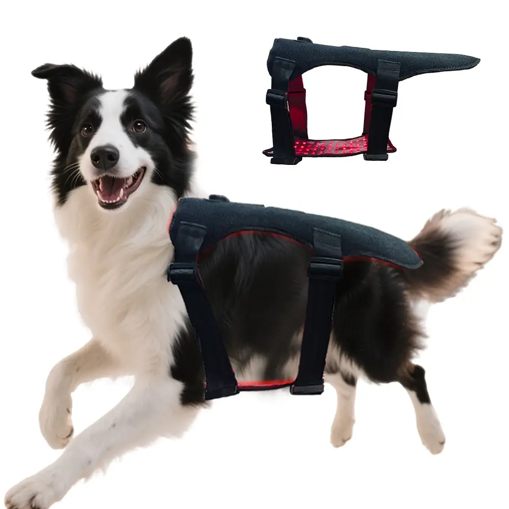Pet Red Light Therapy Belt For Cats And Dogs Tissue Repair Joint Back Pain With 168LEDs