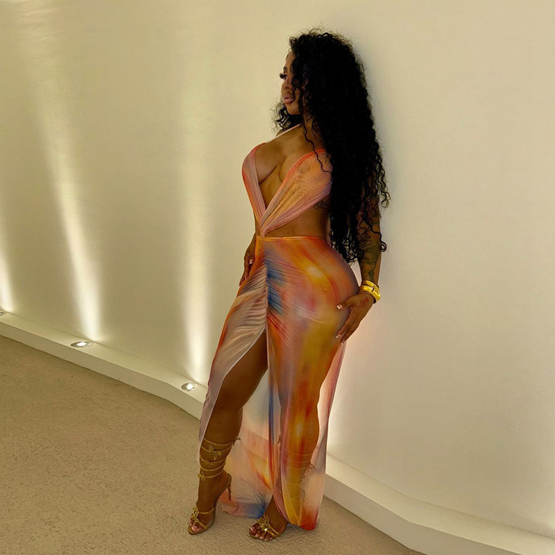 Halter Backless Lace Printing Mesh Dress