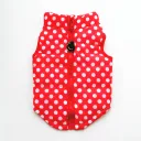 Red Polka Dot