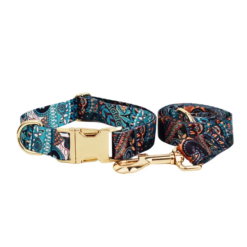 Pet Dog Collar Leash