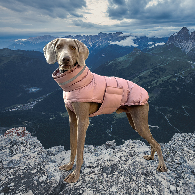 Winter Cotton Padded Pet Clothes detail photo 10
