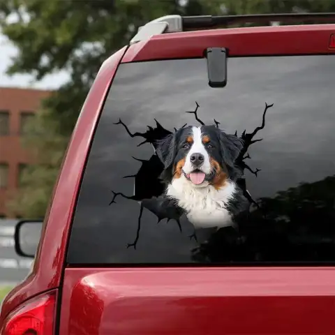 Reflective Car Body Stickers Window Sticker